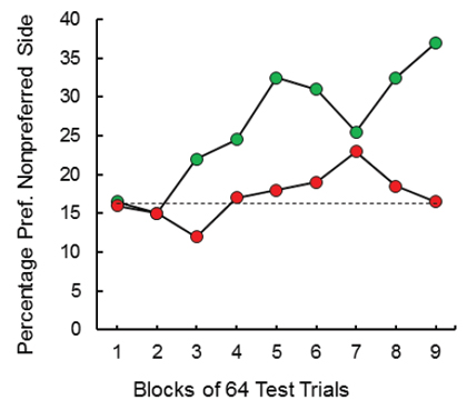 Figure 3. When pigeons were trained to make 30 pecks to receive reinforcement from their less preferred feeder and only one peck to receive reinforcement from their more preferred feeder and were then given a choice of feeders, they showed a shift in preference to the one they had had to work harder for in training (green circles, after Friedrich & Zentall, 2004). For the control group (red circles), both feeders were equally often associated with the 30-peck response. The dotted line represents the baseline preference for the originally non-preferred feeder.