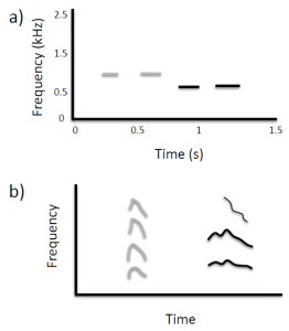 Figure 3. (a) Non-vocal sound imitation by an orangutan (adapted from Wich et al., 2009; Figure 2). Gray lines show spectrographic contours of whistles produced by a human, and black lines show the contours of subsequent whistles produced by the orangutan in which the number, timing, and duration of sounds are similar to features present in the target sequence. (b) Spontaneous vocal production by an infant chimpanzee (black lines show spectrographic contour and harmonics) with acoustic features similar to those of a preceding environmental sound (gray lines), indicative of vocal imitation (adapted from Kojima, 2003; Figure 9-2).