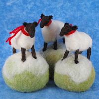 CSsuffolksheep