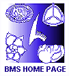 BMS logo