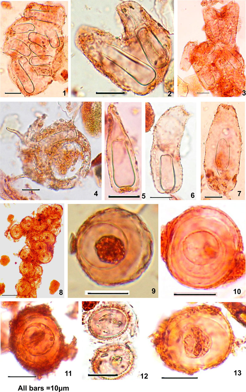 Figure 10