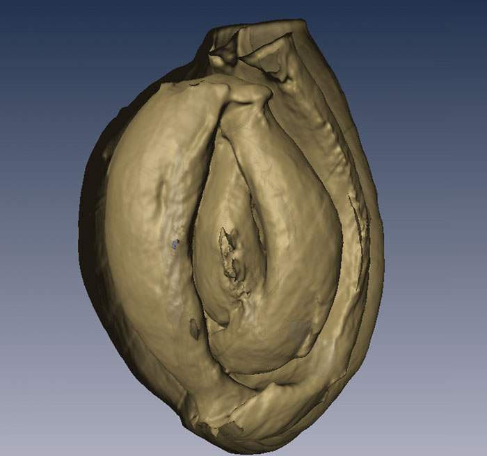 fig8