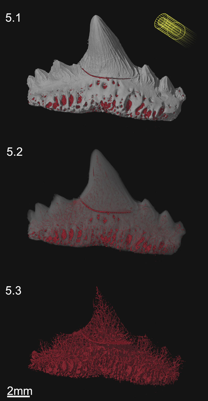 fig5