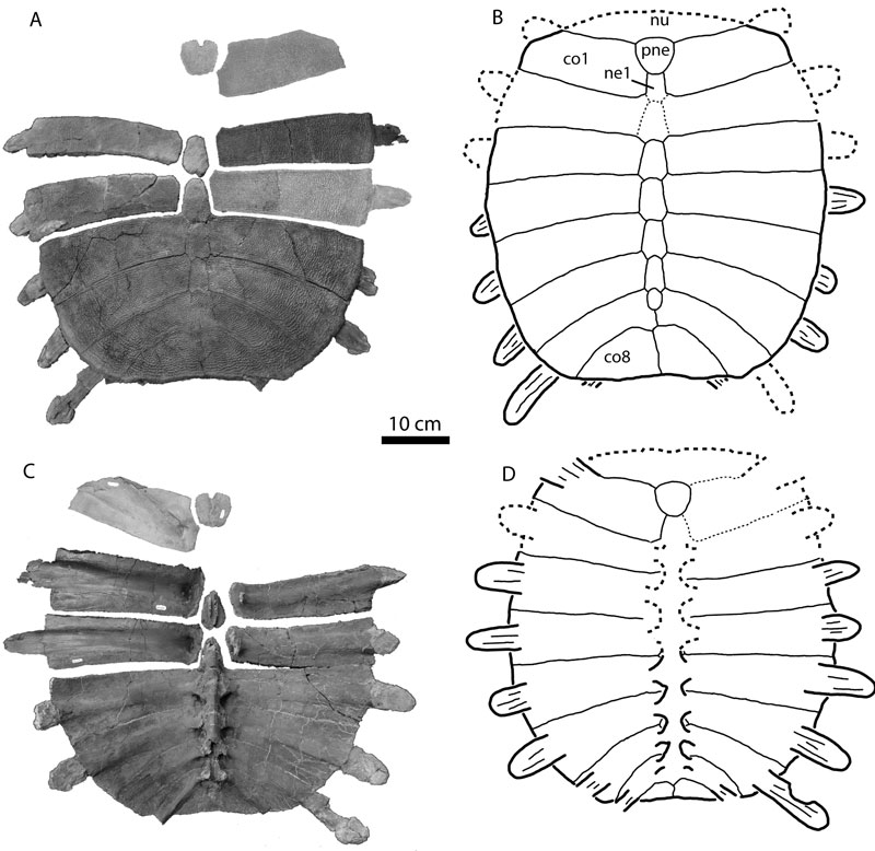 fig11