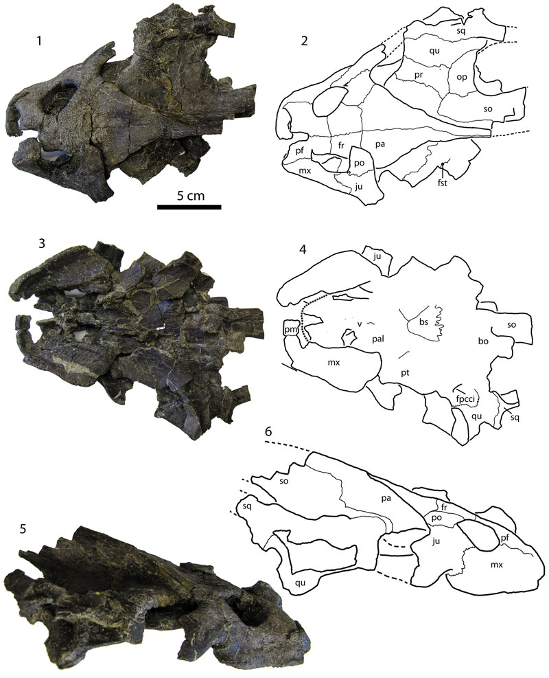 fig14