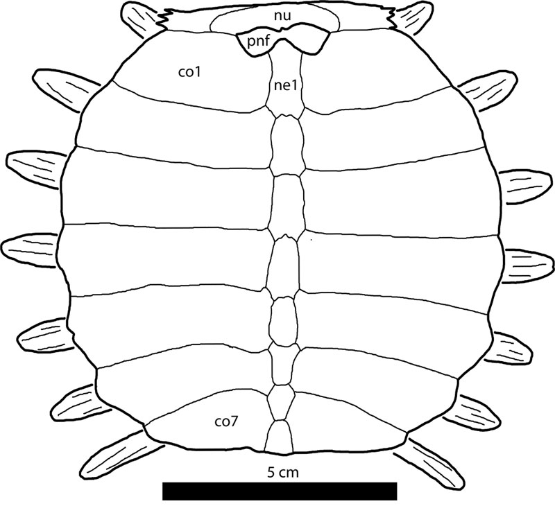 fig19