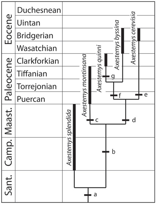 fig21