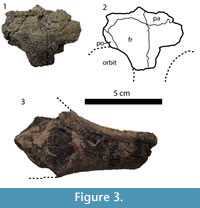 sfig03