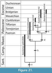 sfig21