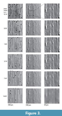  sfigure 3