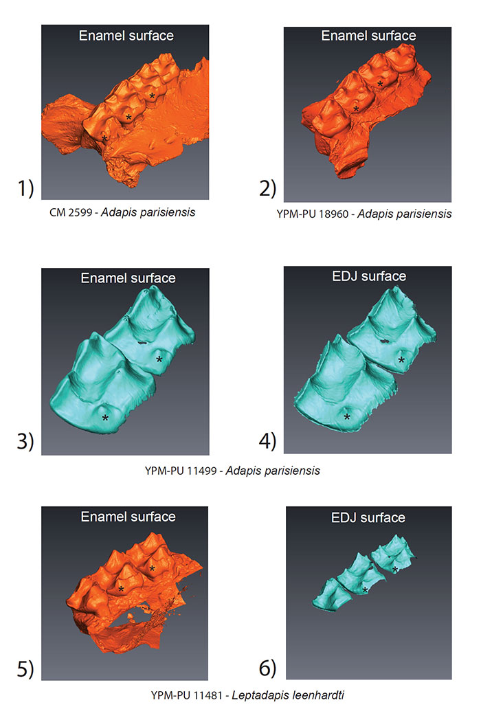 figure 1 2