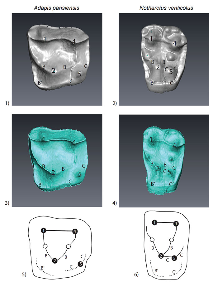 figure 4 2