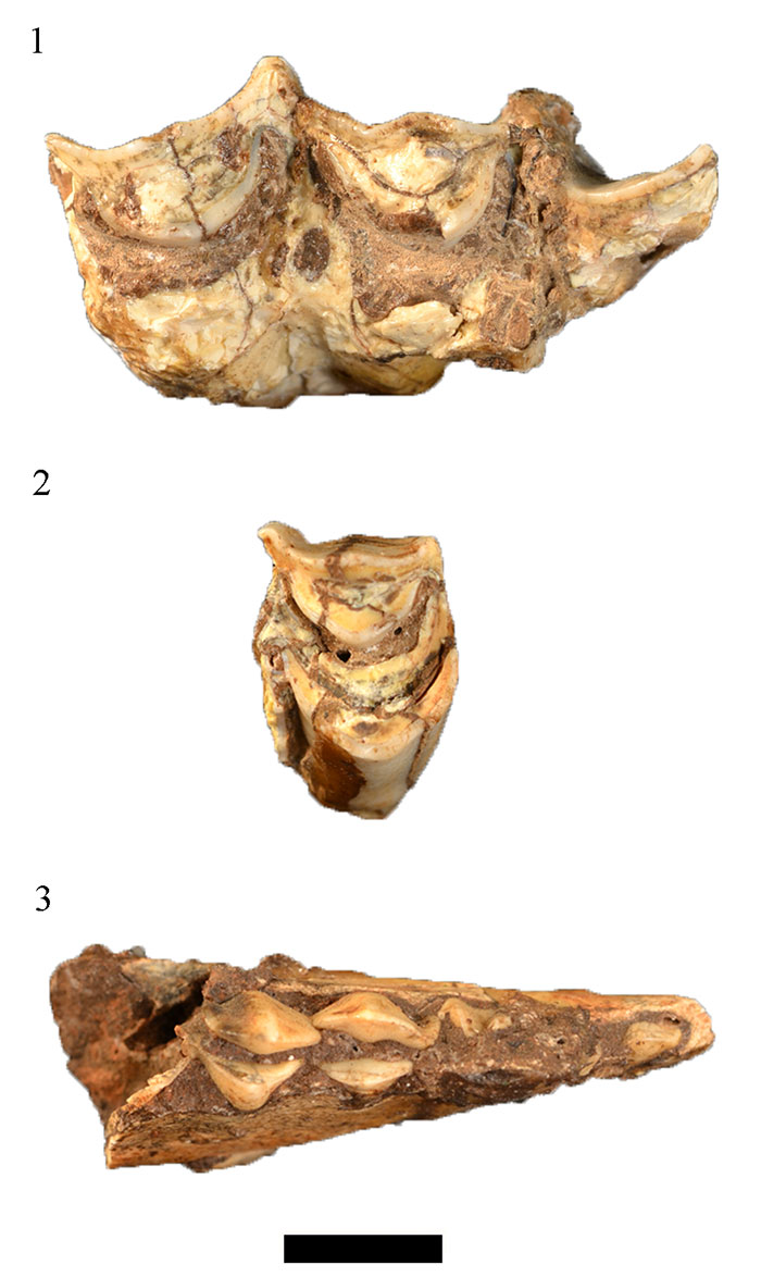 figure 11