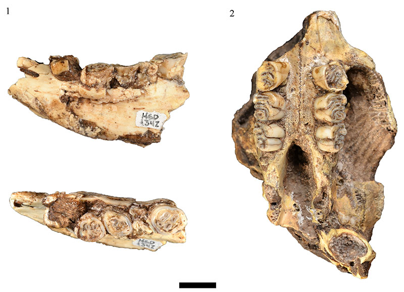 figure 16