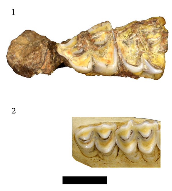 figure 18