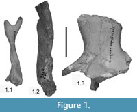 Figure 1.