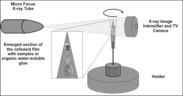 fig1