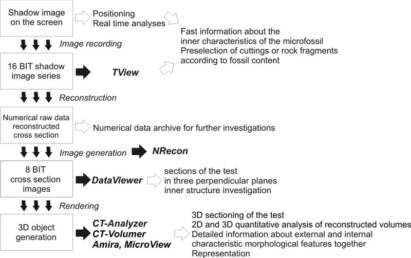 fig2