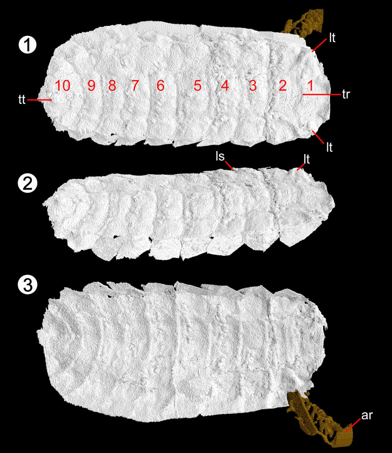 fig3