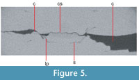 sfig5