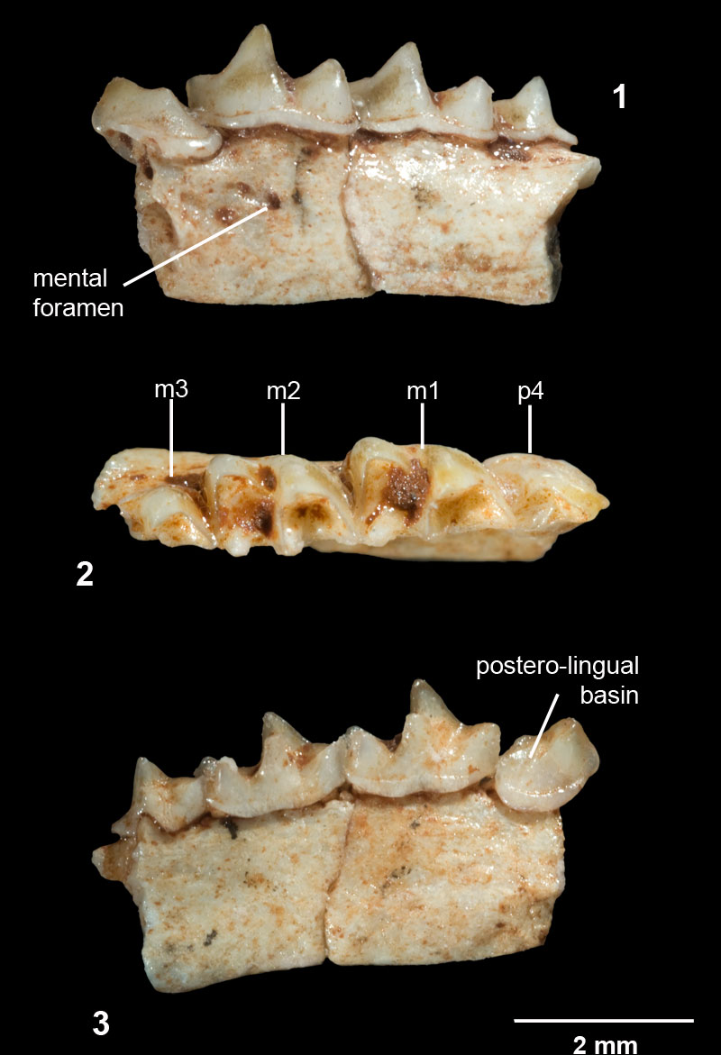 fig3