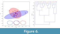 sfigure 6