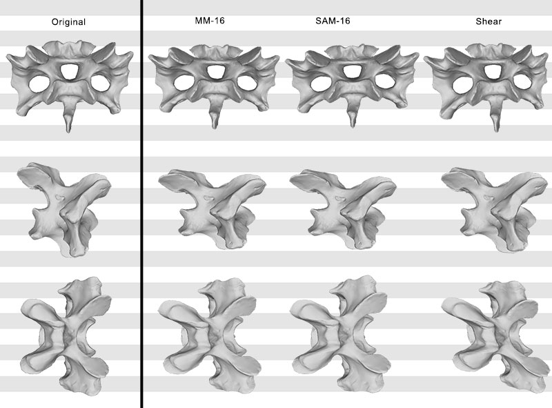 figure 11