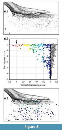 s fig 6