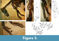 s figure 5