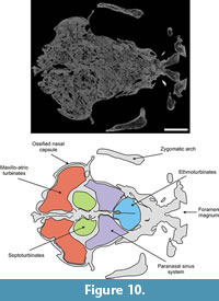 s figure 10