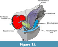 s figure 13