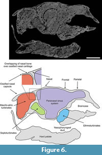 s figure 6