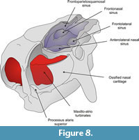 s figure 8