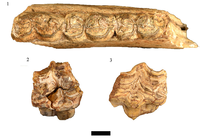 figure 14