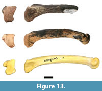 s figure 13