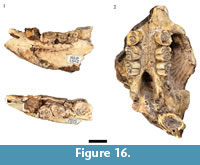 s figure 16