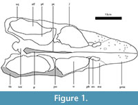 s figure1