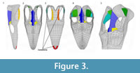 s figure 3