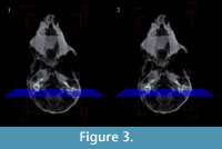 sfigure 3