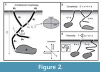 sfig2