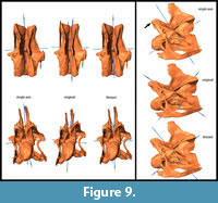 s figure 9