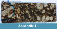 sappendix1