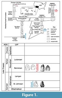 sfigure 1