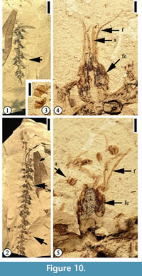 s figure 10