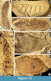 s figure 13