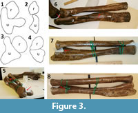 s figure 3