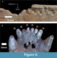 s figure 6