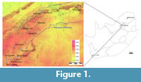 s figure 1