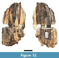 s figure 12