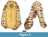 s figure 3